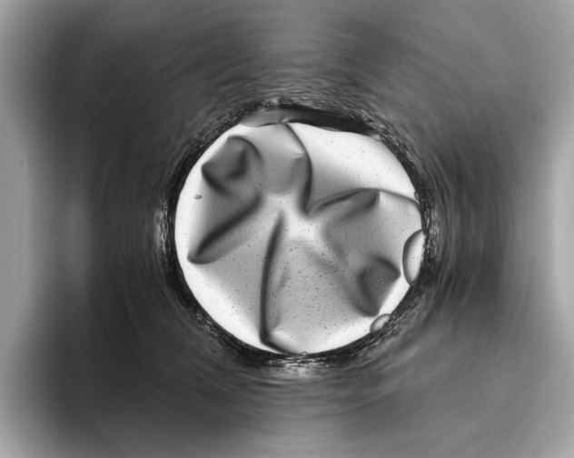 X0000095540612200801111434