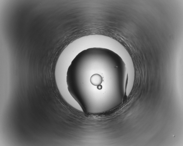 X0000095540613200801111434