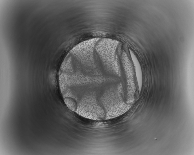 X0000095540616200801111434