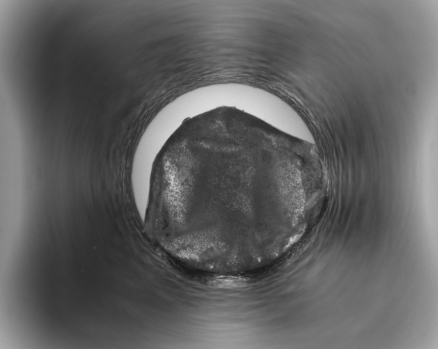 X0000095540617200801111434