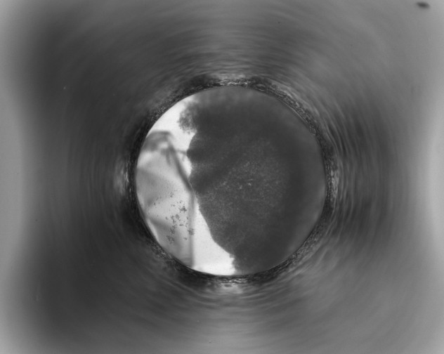 X0000095540618200801111434