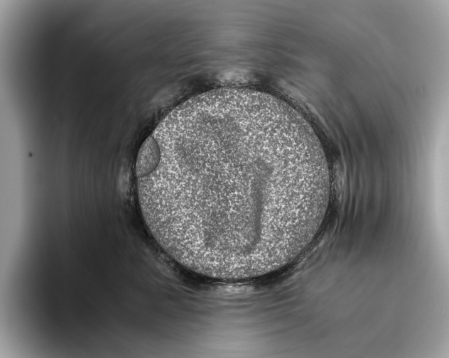 X0000095540619200801111434