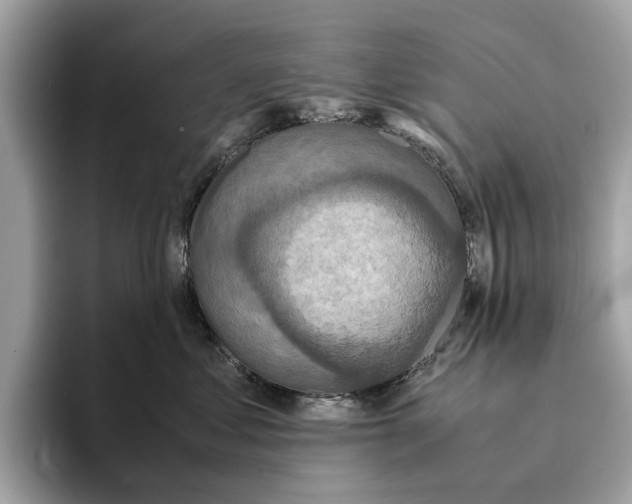 X0000095540621200801111434