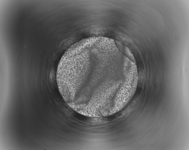 X0000095540623200801111434