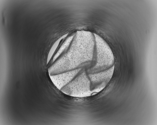 X0000095540624200801111434