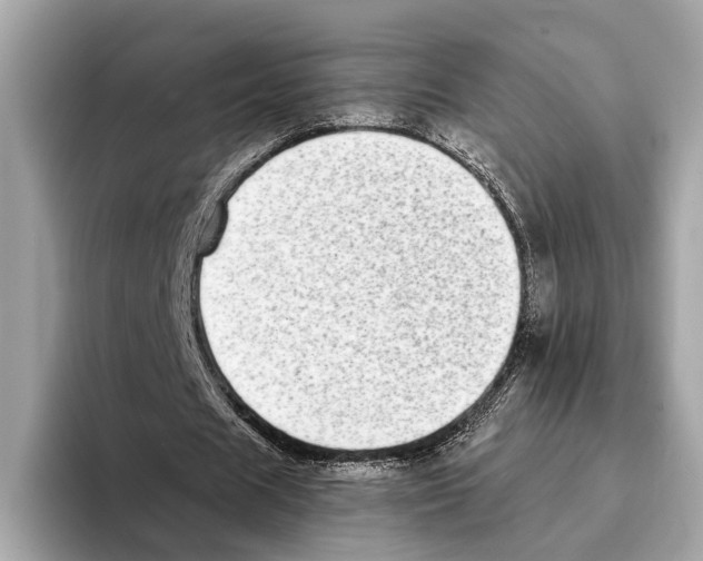 X0000095540625200801111434