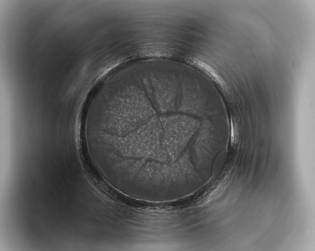 X0000095540627200801111434