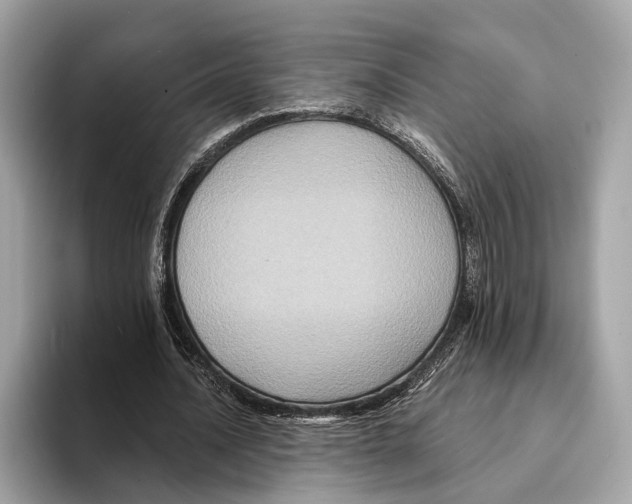 X0000095540628200801111434