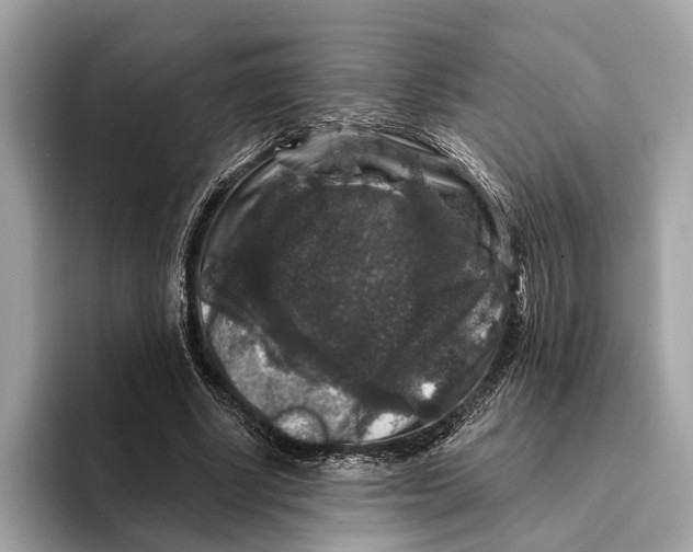 X0000095540634200801111434