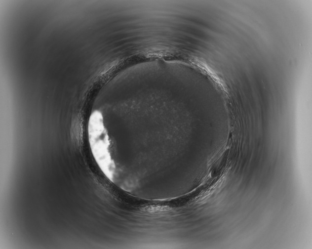 X0000095540637200801111434