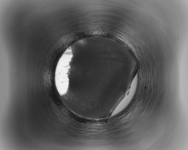 X0000095540643200801111434