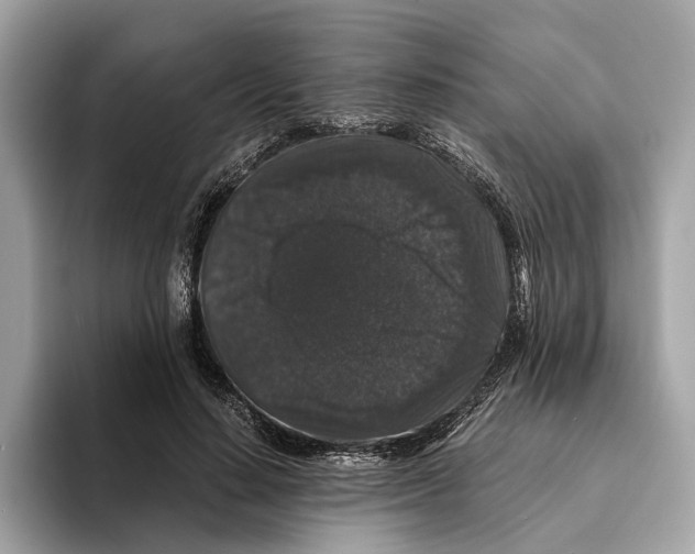 X0000095540644200801111434