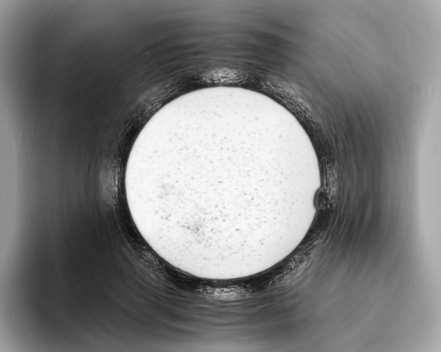 X0000095540645200801111434