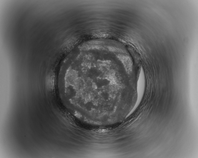 X0000095540647200801111434