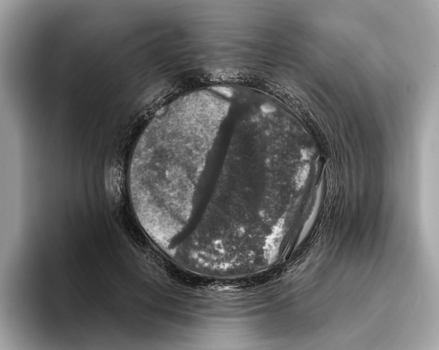 X0000095540648200801111434