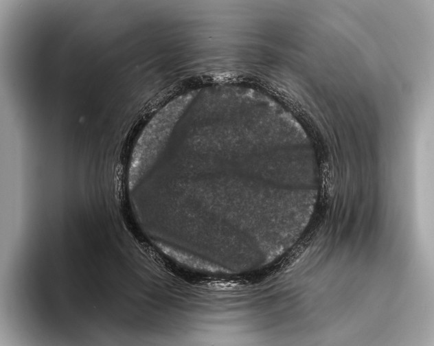 X0000095540650200801111434