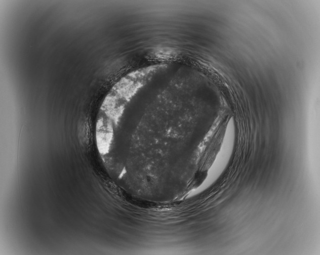 X0000095540651200801111434