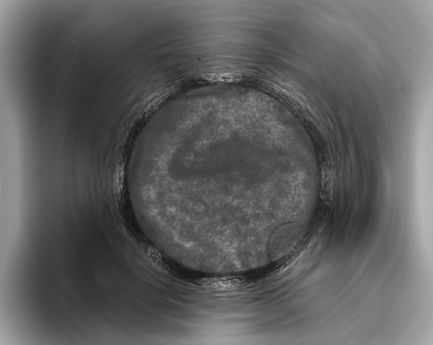 X0000095540652200801111434