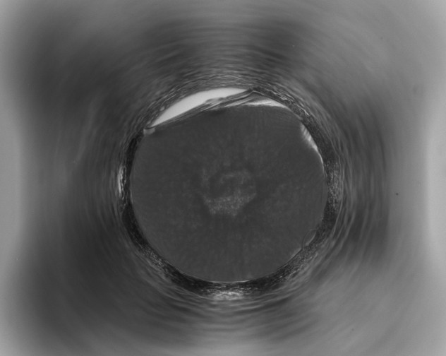 X0000095540653200801111434