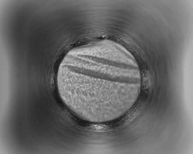 X0000095540654200801111434