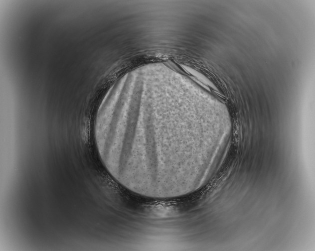 X0000095540656200801111434