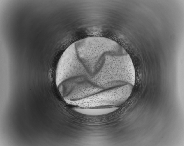 X0000095540658200801111434