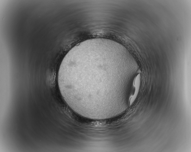 X0000095540660200801111434