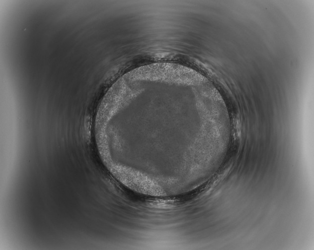 X0000095540664200801111434