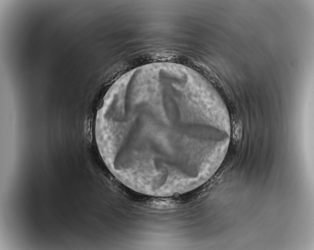 X0000095540666200801111434