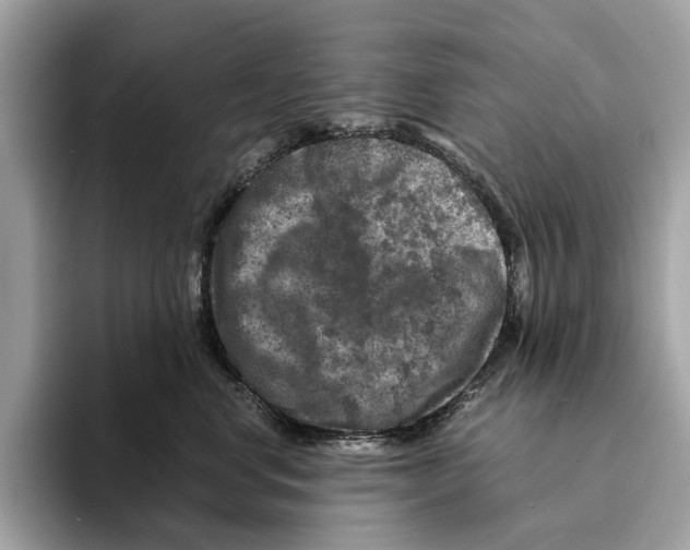 X0000095540668200801111434