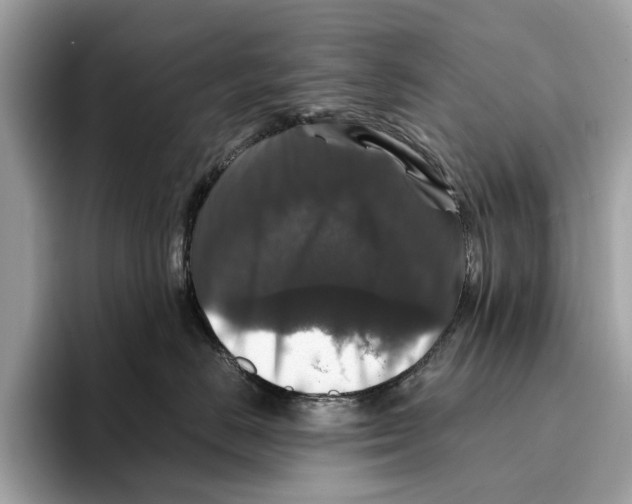 X0000095540670200801111434