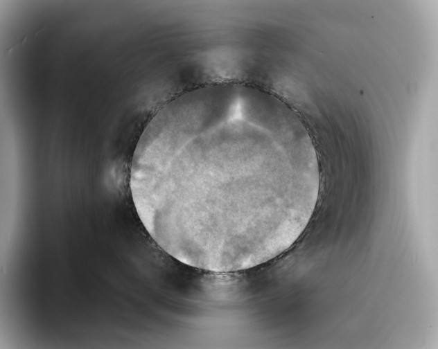 X0000095540672200801111434