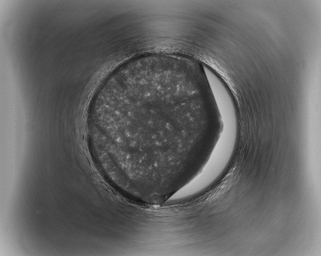 X0000095540673200801111434