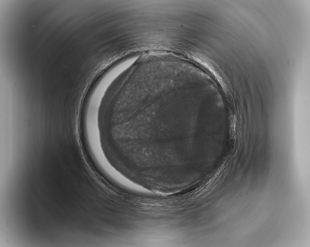 X0000095540677200801111434