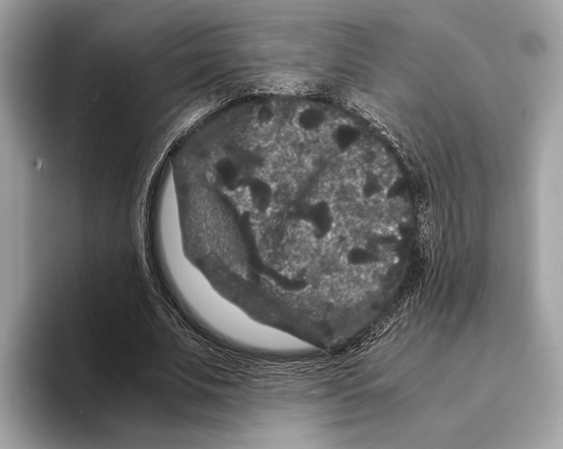 X0000095540679200801111434