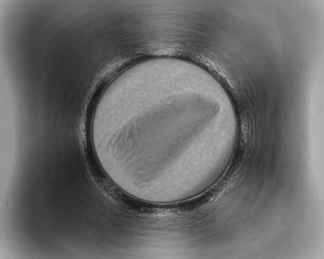 X0000095540682200801111433