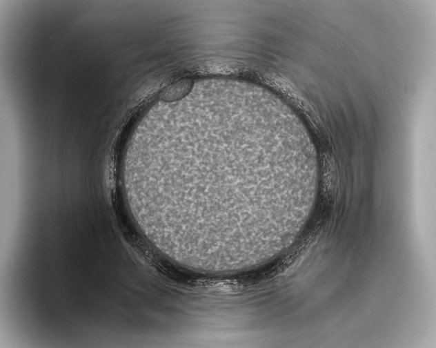 X0000095540683200801111433