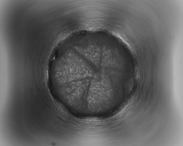 X0000095540685200801111433