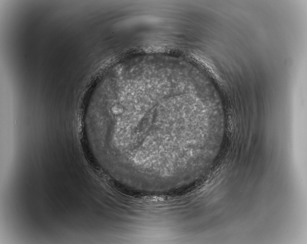 X0000095540687200801111433