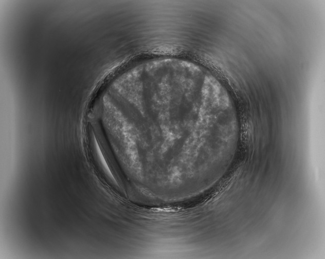 X0000095540688200801111433