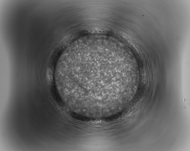 X0000095540695200801111433