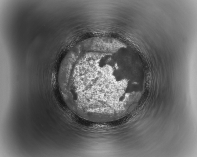 X0000095540699200801111433