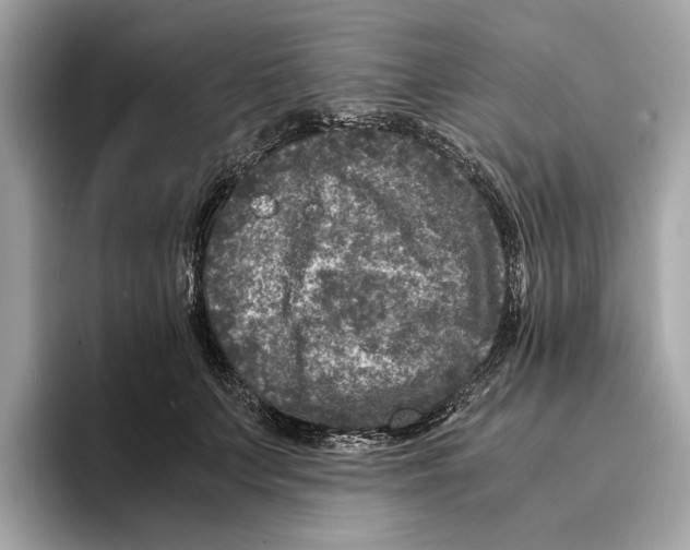 X0000095540703200801111433