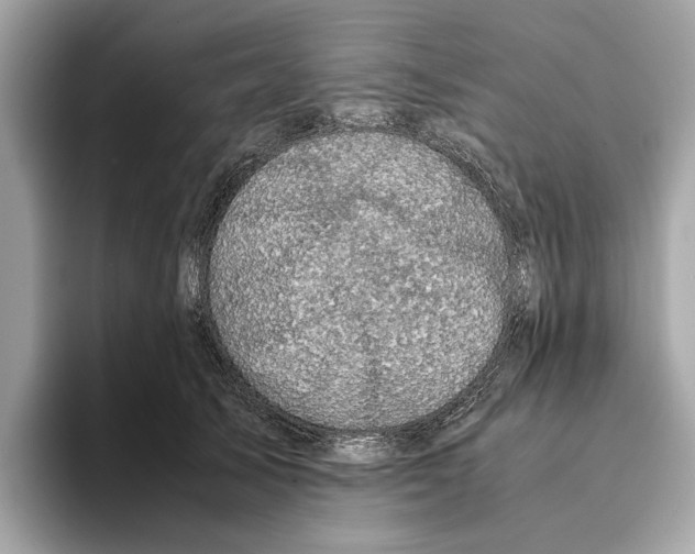 X0000095540705200801111433