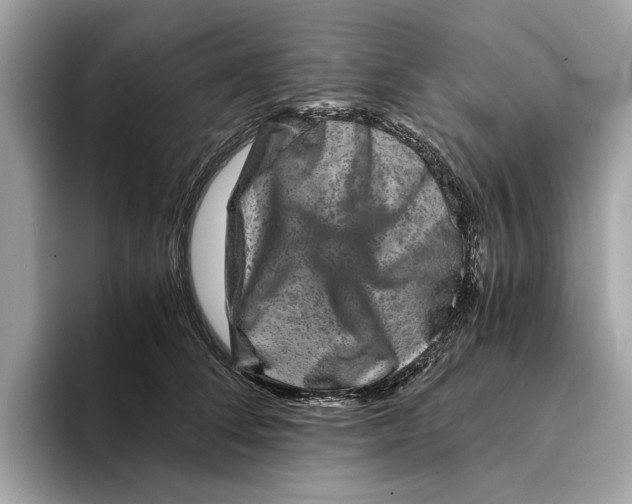 X0000095540708200801111433