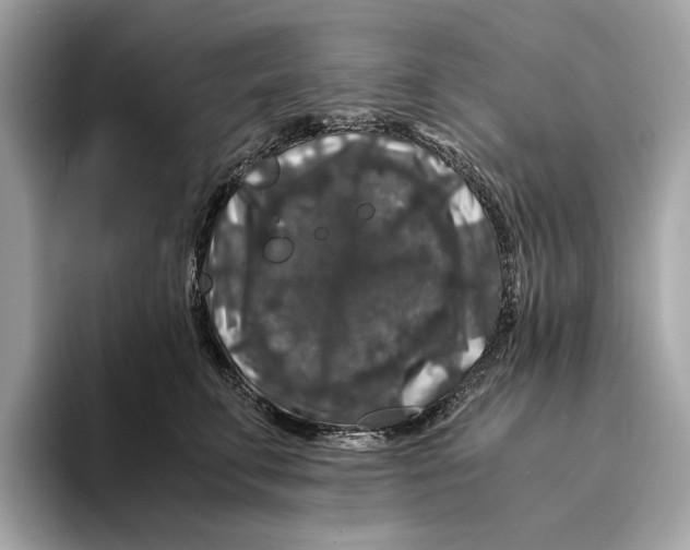 X0000095540711200801111433