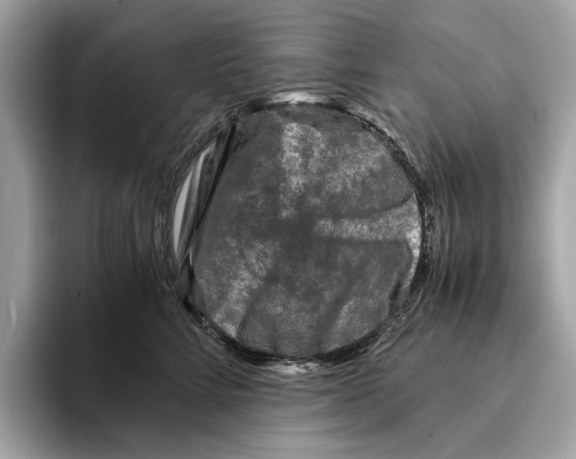 X0000095540712200801111433