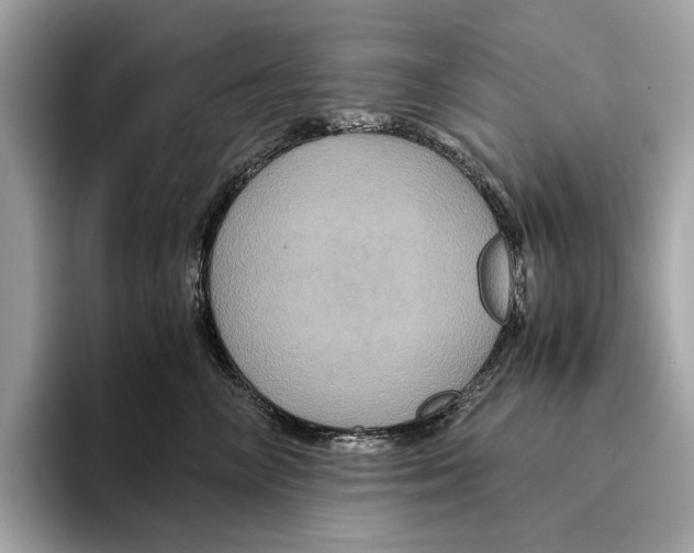 X0000095540714200801111433