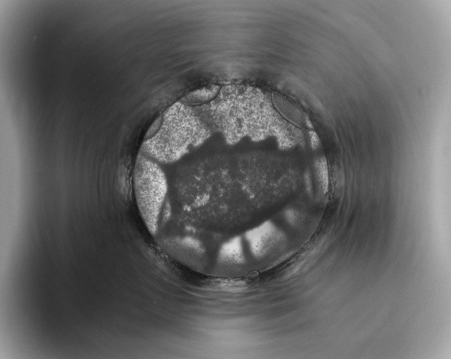 X0000095540719200801111433