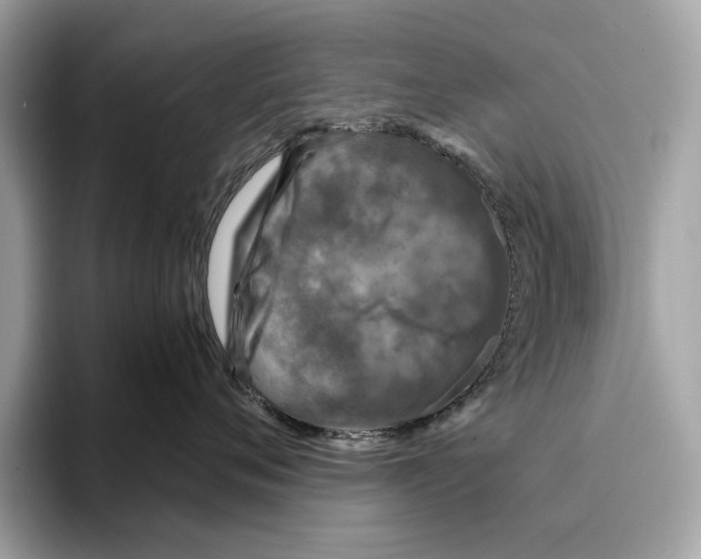 X0000095540720200801111433